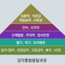 엠케이 행정사사무소 네이버블로그