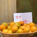 가마치통닭 만덕점 이미지