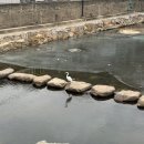 옥천암 | [서울/서대문] 새해 맞이 홍제천 산책과 기도, 천년 고찰 ‘옥천암’ 방문 후기