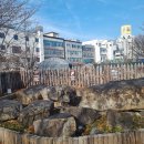 상동 지석묘군 이미지