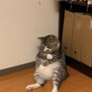 이투엠 이미지