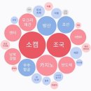 와이지(YG)메디칼 이미지