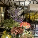 레스테호텔 이미지