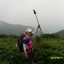 대불리목장 이미지