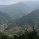 정자나무집 이미지