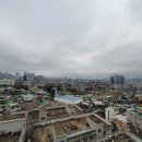 마이빌리어즈카페 이미지