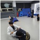 흑추관합기도주짓수