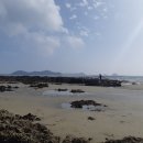 장삼포해수욕장 이미지