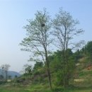 허상과 실상의 공존 이미지