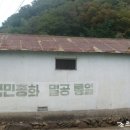 초야식당 - 포항시 북구 | 초야식당