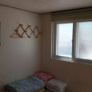 추도민박 이미지