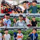 JK태권도장 이미지