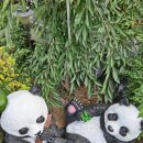 경주 둥지가족펜션 이미지