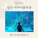 떼템포 | [일산 아이랑 갈만한 곳] 아쿠아플라넷 재방문 후기