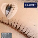 둔산중로-17 네이버블로그