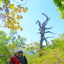 삼거리건강원 - 김포시 중봉1로 50 | 삼거리건강원