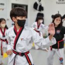 한양대 도담 태권도 네이버블로그