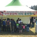 상주떡 이미지