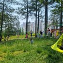 온양제일유치원 이미지