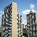 분당초교 앞 이미지