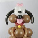 8월의 강아지 이미지