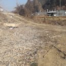 소태면사무소 이미지