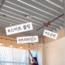 수피아리본 이미지