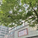 J1081 이미지