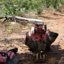 태광1농장 이미지