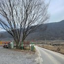 (주)마메든 | 단양 무지개 캠핑장