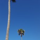 [UCI/UC Irvine ESL] 3일차 Newport Beach, 뉴포트비치 액티비티 (9월 30일, 얼바인 일상/일기)
