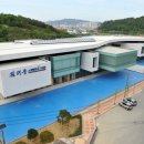 인동초교 이미지