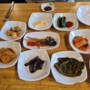 상희식당 | 속초 숨은 맛집 속초 상희네 현지인 추천 대구탕 생선구이