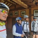 고향의봄길 이미지