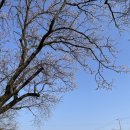 금산천1길 이미지