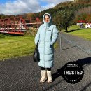 STAY PET SHOP 이미지