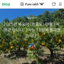 용산-후암-286 | 8월 2째주