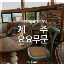 제주요요