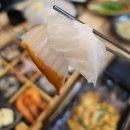 제주 서귀포 올레시장 맛집 [나원회포차]