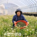 한국건강원 네이버블로그