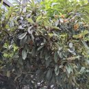 지에스(GS) 수퍼마켓 부암점 이미지