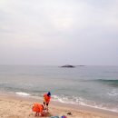 규린도 목장3 이미지