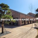 세이지힐 오토캠핑장 이미지