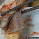 홍어 식당 이미지