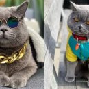 (주)무지개환경 이미지