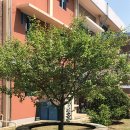 남춘천여자중학교 이미지