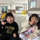 대관초등학교 | 창미유치원 보령에서 만난 최고의 태권도와 특별한 경험