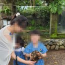 여행 3일차 - 우붓 여행 코스, 아이와 우붓 여행, 티스 카페, 우붓 몽키포레스트, 발리 파충류 공원...