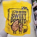 펫페이지 이미지