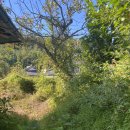 태석석축 | 『고택 리노베이션』 시골집 돌담·석축쌓기 한옥목수리모델링AtoZ